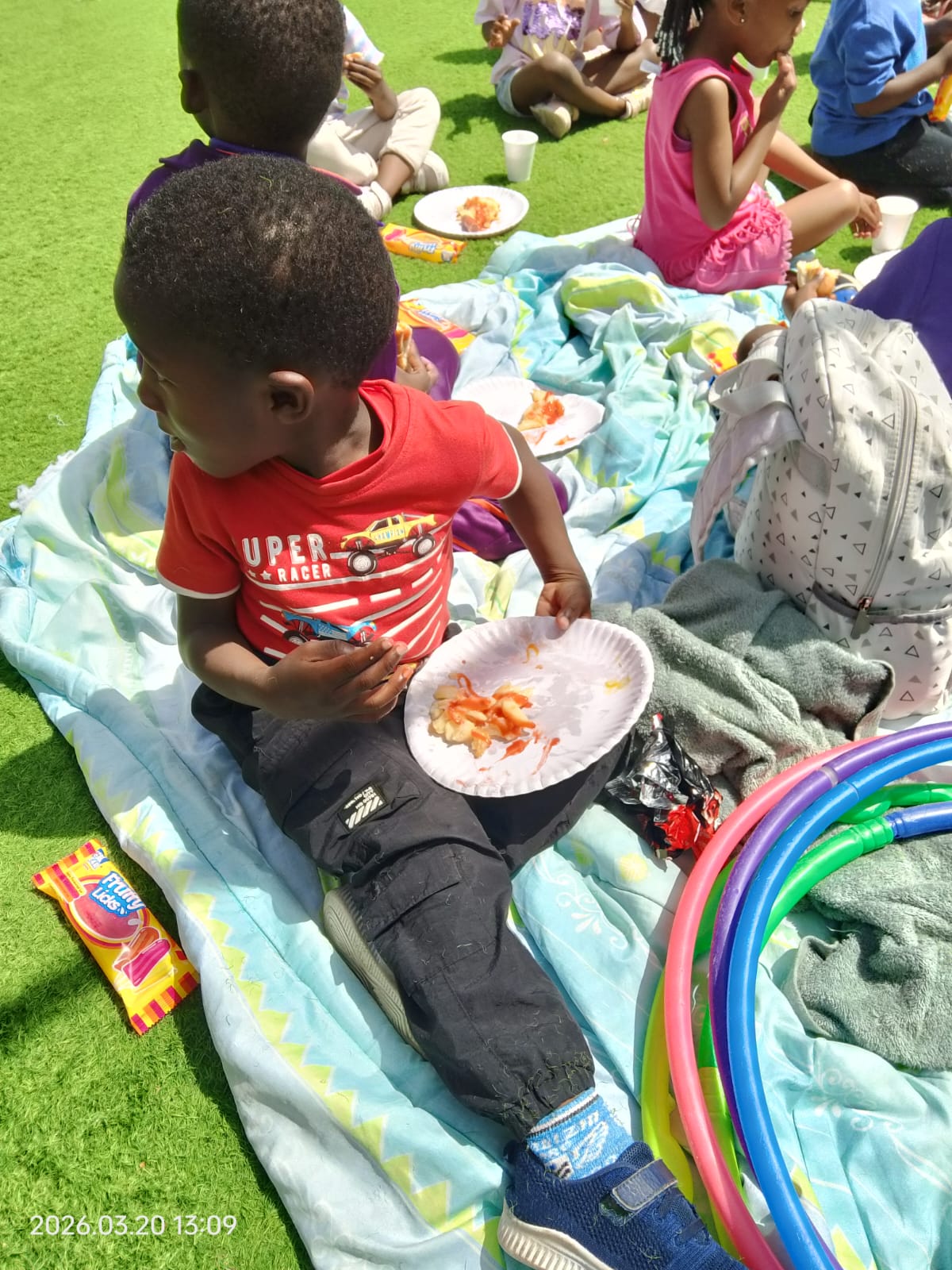 Picnic Meals